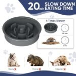 XIAZ Elevated Dog Bowls - Image 4