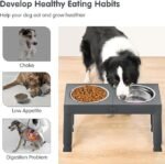 XIAZ Elevated Dog Bowls - Image 3