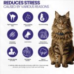 GentlePaws Cat Calming Collar (2-Pack) - Image 2
