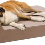 Barker Beds Orthopedic Dog Bed – 7" Pillow Top with Headrest, Memory Foam for Joint Pain & Arthritis, Machine Washable Microsuede Cover