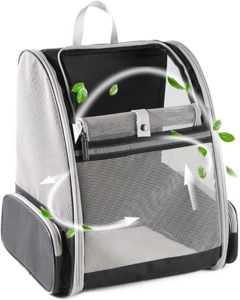 61tatOQzdLL._AC_SL1000_.jpg Texsens Innovative Traveler Bubble Backpack Pet Carriers for Cats and Dogs (Black) - Image 1