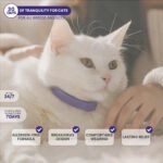 GentlePaws Cat Calming Collar (2-Pack) - Image 5