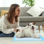 FluffyDream Puppy Training Pad