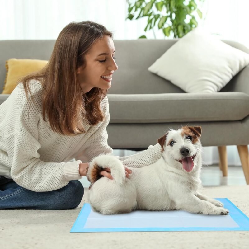 FluffyDream Puppy Training Pad