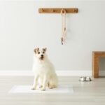 Amazon Basics Puppy Pee Pad