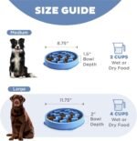 Outward Hound Fun Feeder Slo Bowl – Interactive Slow Feeder Dog Bowl, Non-Slip Maze Pattern, Prevents Bloating & Obesity - Image 5
