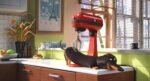 The Secret Life of Pets [Blu-ray] - Image 6