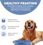 Outward Hound Fun Feeder Slo Bowl – Interactive Slow Feeder Dog Bowl, Non-Slip Maze Pattern, Prevents Bloating & Obesity - Image 2