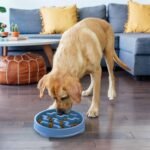 Outward Hound Fun Feeder Slo Bowl – Interactive Slow Feeder Dog Bowl, Non-Slip Maze Pattern, Prevents Bloating & Obesity - Image 6