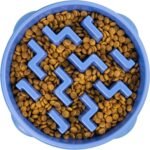 Outward Hound Fun Feeder Slo Bowl – Interactive Slow Feeder Dog Bowl, Non-Slip Maze Pattern, Prevents Bloating & Obesity
